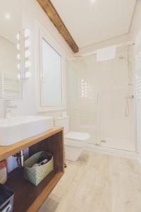 a bathroom with a sink and a toilet and a shower at Arrasate - Local Rentss in San Sebastián