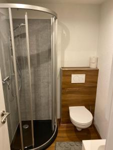 a bathroom with a shower and a toilet at Kaiserblick Apartments in Oberau