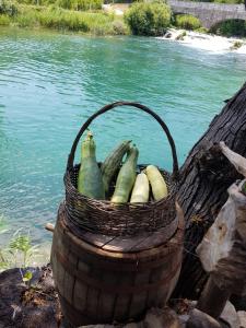 a basket of vegetables sitting on a barrel next to water at Pension Helgoländ in Dresden