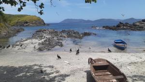 a group of birds on a beach with a boat at Apartamento Praia do Forte Cabo Frio in Cabo Frio
