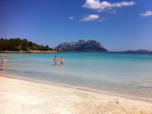 Táj Show holiday homes közelében Még 8 kép