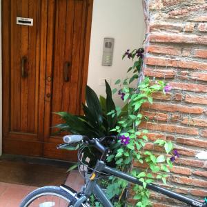 ein Fahrrad, das vor einem Haus mit einer Pflanze geparkt ist in der Unterkunft Pieve Suites in Città della Pieve