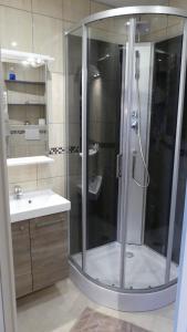 ein Bad mit einer Dusche und einem Waschbecken in der Unterkunft Au Cygne in Hoerdt