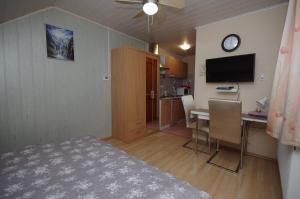 A television and/or entertainment centre at Fortuna Apartman