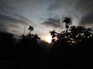 Paesaggio naturale nelle vicinanze del bed & breakfast