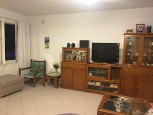 Televízia a/alebo spoločenská miestnosť v ubytovaní Santorini Grace Villa No2