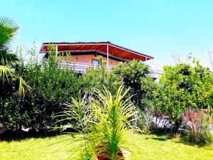 Vonkajšia záhrada v ubytovaní Villa Ghetta Country House