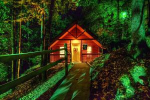 a small cabin in the middle of a forest at Burnin' Love in Gatlinburg