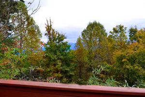 a view of a forest of trees from a deck at Lover's Loft in Gatlinburg +6 photos