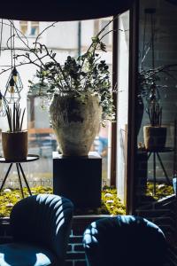 a window with a large vase with plants in it at Penzion U Kubesa - Adults only in Kroměříž