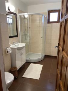 a bathroom with a shower and a sink and a toilet at Poème in Sighetu Marmaţiei +41 photos