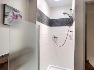 y baño con ducha y puerta de cristal. en * Maison aux portes de Troyes en Champagne * en Sainte-Maure
