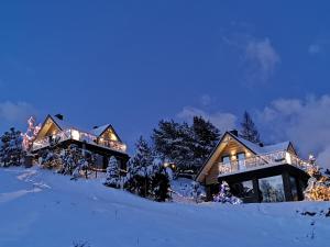 une maison recouverte de lumières de Noël dans la neige dans l'établissement Jaworki Green Dream, à Szczawnica