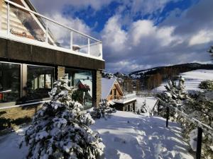 a house in the snow with a christmas tree at Jaworki Green Dream in Szczawnica