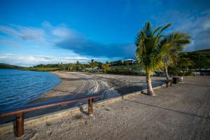 a beach with a bench and a palm tree at Dua Dua Beach Resort in Rakiraki