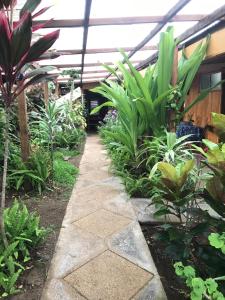 a garden with plants and a walkway in a greenhouse at Hostal Vaihere in Hanga Roa
