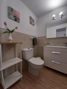 a bathroom with a white toilet and a sink at Apartamento Manuela in Puerto del Carmen