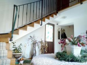 Fotografie z fotogalerie ubytování Apartment Beatris v destinaci Svit