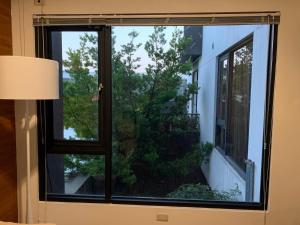 幸福客棧外面的花园