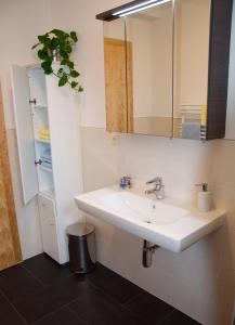 a bathroom with a sink and a mirror at Apart Patricia in Längenfeld