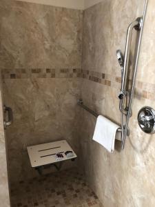 uma casa de banho com um chuveiro e um WC. em American Inn em Ontario
