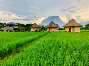 a group of houses in a rice field at Baan Porhdoi Goidao in Chiang Dao