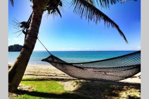 a hammock hanging from a palm tree on a beach at Villa Takali - CFC Certified in Pacific Harbour