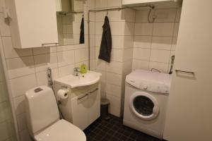 uma casa de banho com um lavatório e uma máquina de lavar roupa em Rental Apartment Lonttinen Suomen Vuokramajoitus Oy em Turku