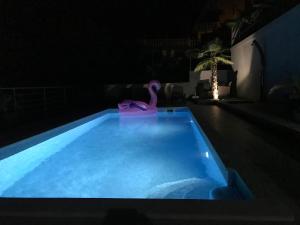 Bazén v ubytovaní Villa Suzy-Apartments Suzana alebo v jeho blízkosti