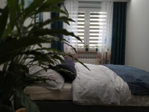 Posteľ alebo postele v izbe v ubytovaní Apartament Skrytka