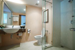 七岩的住宿－亞洲查安酒店，一间带水槽、卫生间和淋浴的浴室