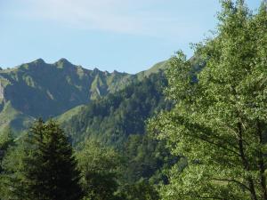 uma vista para uma montanha com árvores no primeiro plano em Hotel Le Progrés Dorlotel em Le Mont-Dore