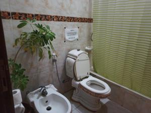 a bathroom with a toilet and a sink at The Red Rose City in Wadi Musa