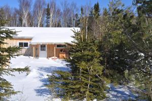 Birch PlainThe Sleeping Moose Cottage的雪地里的树林小屋