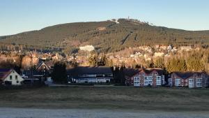 a town with a mountain in the background with houses at Harz-Glück1 in Braunlage