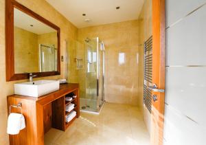 a bathroom with a sink and a shower at The Huntsman Inn in Galway