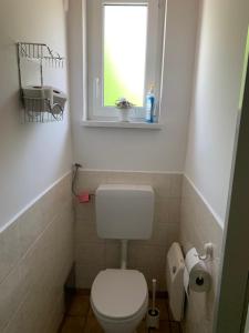 a small bathroom with a toilet and a window at Haus Kollin in Keutschach am See