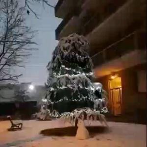 Un albero di Natale ricoperto di neve in una casa di Hotel 660 a Bisignano
