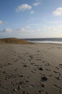 een groep voetafdrukken in het zand op een strand bij Ferienwohnung Monteurwohnung DeichBrandt in Sankt Margarethen
