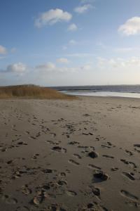 a group of footprints in the sand on a beach at Ferienwohnung Monteurwohnung DeichBrandt in Sankt Margarethen