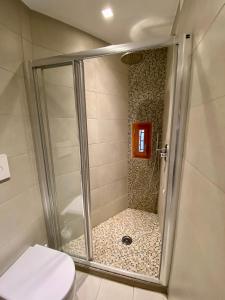 a shower with a glass door in a bathroom at Corte Contarina in Venice