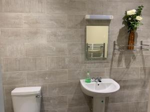 Southernwood - Wantage Road Studio 2 في ديدكوت: حمام مع حوض ومرحاض ومرآة