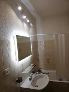 La salle de bains est pourvue d'un lavabo et d'un miroir. dans l'établissement Résidence Le Parc, à Font-Romeu-Odeillo-Via