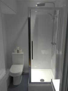 La salle de bains est pourvue de toilettes et d'une douche en verre. dans l'établissement Newcastle West Hotel & Bar, à Elswick