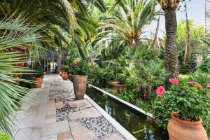 a garden with palm trees and potted plants at Résidence Pierre & Vacances Premium Port Prestige in Antibes