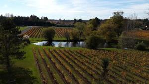 a view of a vineyard and a river in a field at Chateau Couchebout in Pugnac +6 photos
