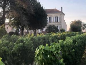 a vineyard with a house in the background at Chateau Couchebout in Pugnac