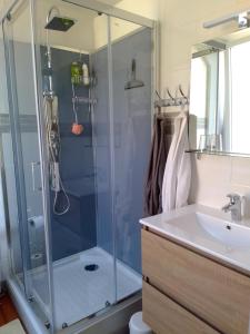 a bathroom with a shower and a sink at Chez Marie in Dunkerque