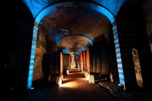 a dark room with a tunnel with wine barrels at Villa Vistarenni in Gaiole in Chianti