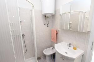 W łazience znajduje się prysznic, umywalka i toaleta. w obiekcie Apartment Stellina w Rovinj +18 zdjęć